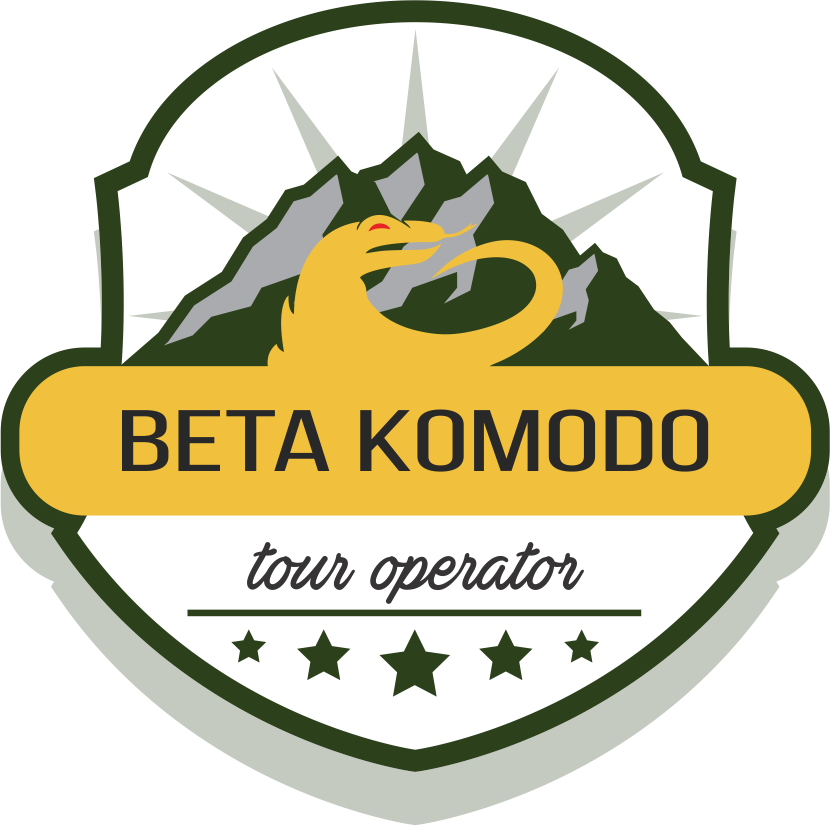 logo beta komodo