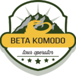 logo beta komodo