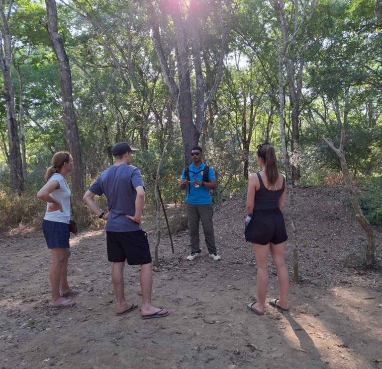 Komodo National Park ranger guiding a group of guests on Komodo Island