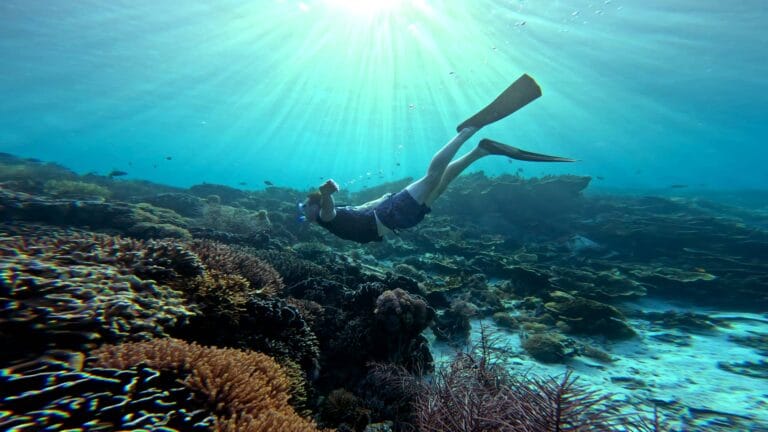 komodo private tour