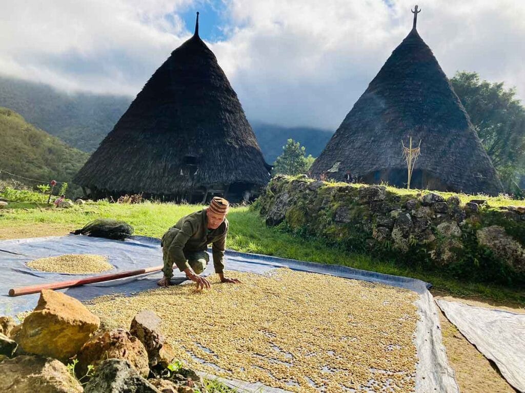 explore flores